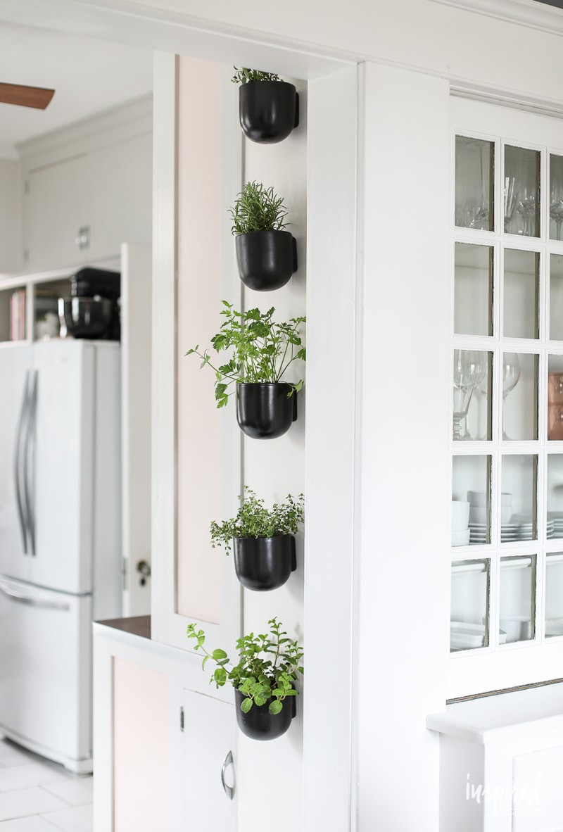 Herb Wall Kitchen
 How to Create a Modern Kitchen Herb Garden