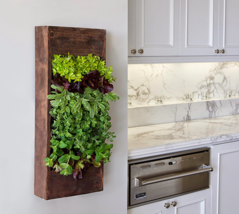 Herb Wall Kitchen
 15 Phenomenal Indoor Herb Gardens