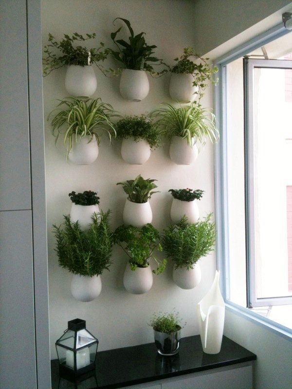 Herb Wall Kitchen
 39 best Herb Wall images on Pinterest