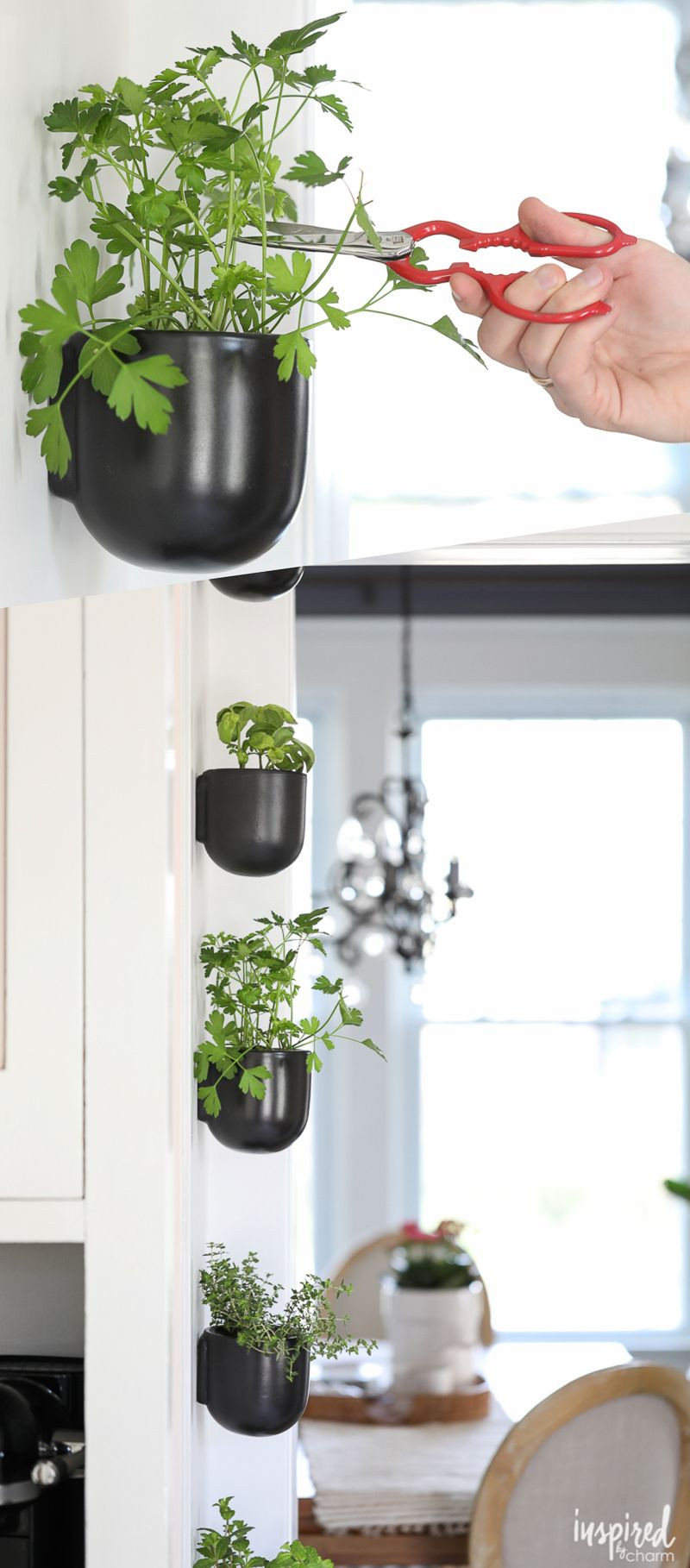 Herb Wall Kitchen
 DIY Kitchen Herb Garden vertical wall garden hanging