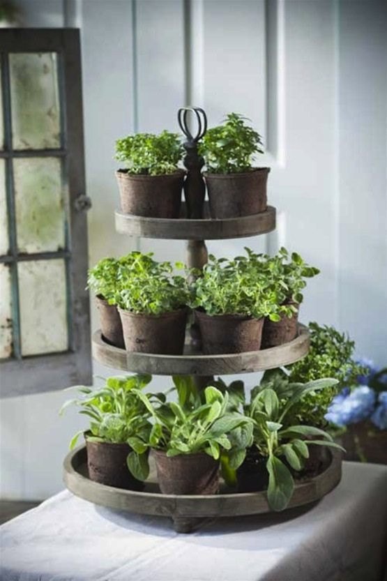 Herb Wall Kitchen
 10 Easy DIY Herb Gardens The Chic Site