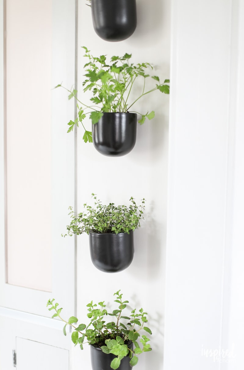 Herb Wall Kitchen
 How to Create a Modern Kitchen Herb Garden