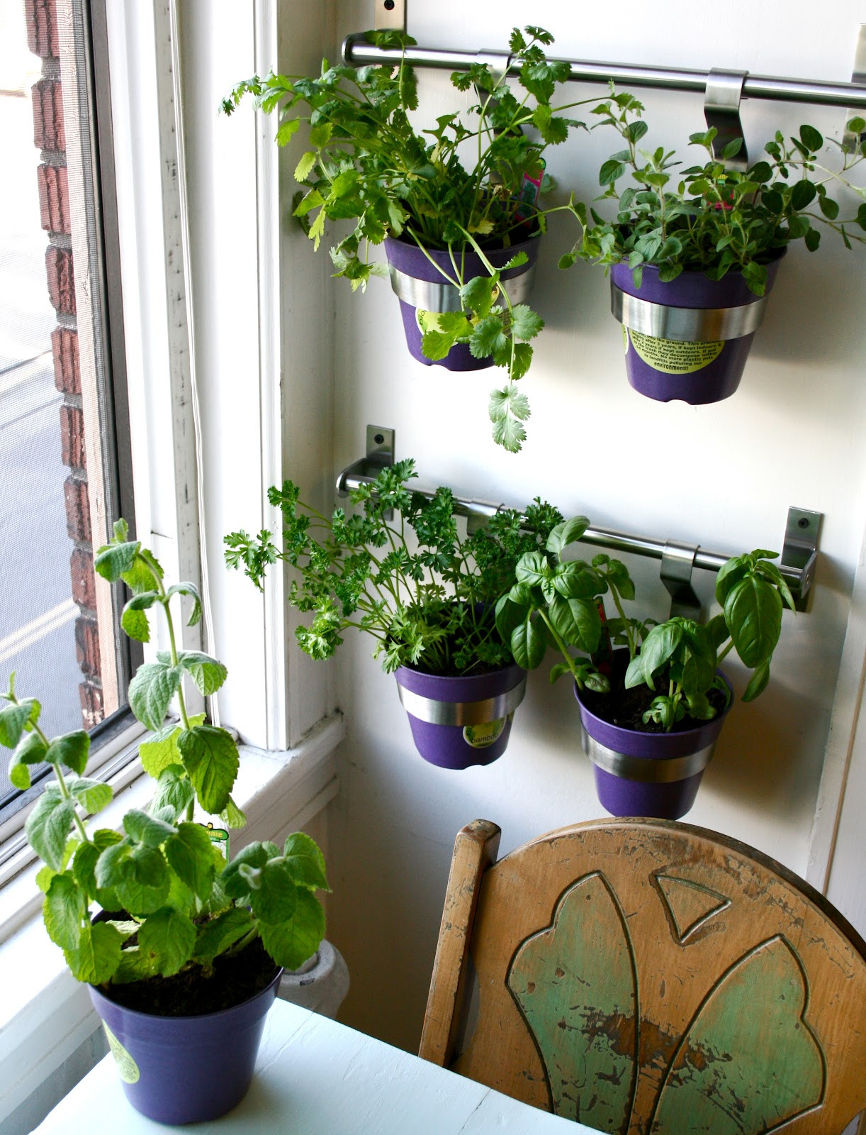 Herb Wall Kitchen
 tHE gOOD LIFe DIY Herb Wall in the Kitchen