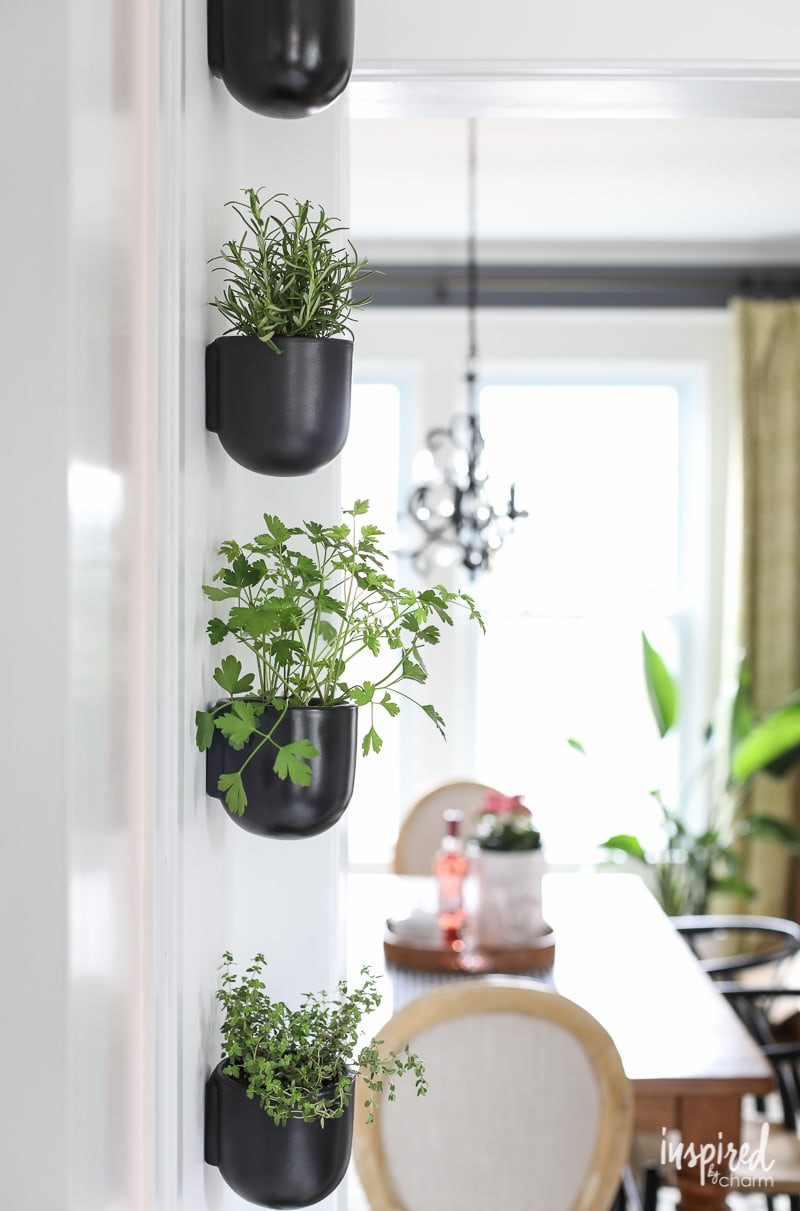 Herb Wall Kitchen
 How to Create a Modern Kitchen Herb Garden