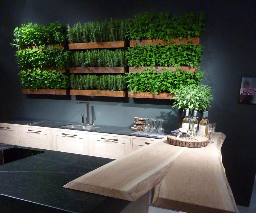 Herb Wall Kitchen
 Herb Garden Kitchen Wall