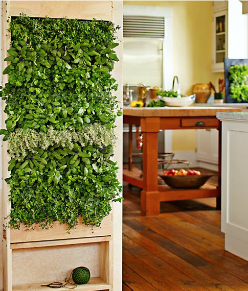 Herb Wall Kitchen
 Indoor Garden and Herb Solutions