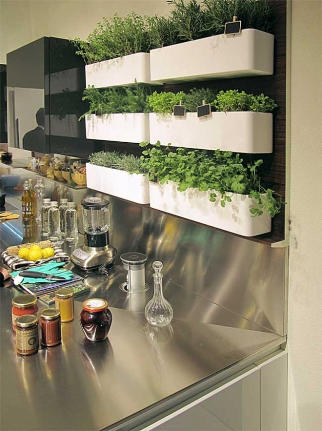 Herb Wall Kitchen
 30 Amazing DIY Indoor Herbs Garden Ideas