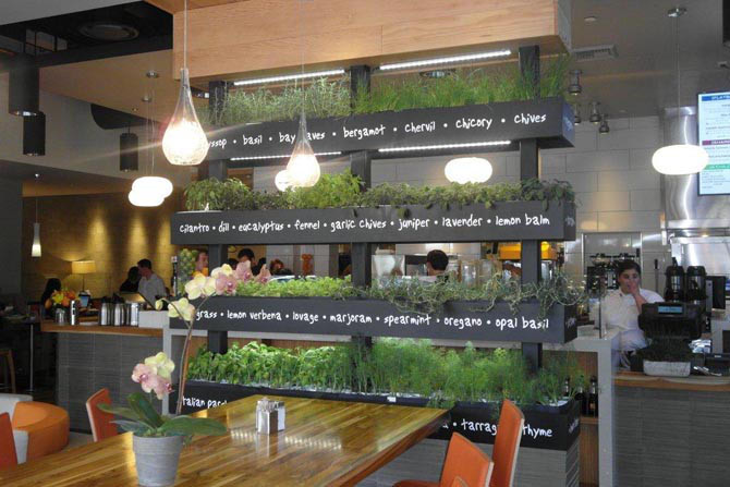 Herb Wall Kitchen
 Greenery Meets Restaurant Synergy Restaurant Consultants