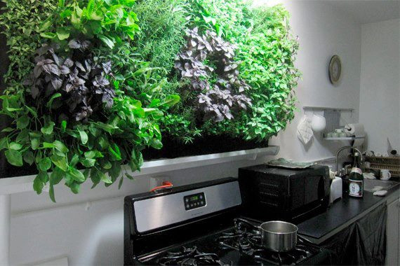 Herb Wall Kitchen
 Indoor Vertical Herb Garden in the Kitchen