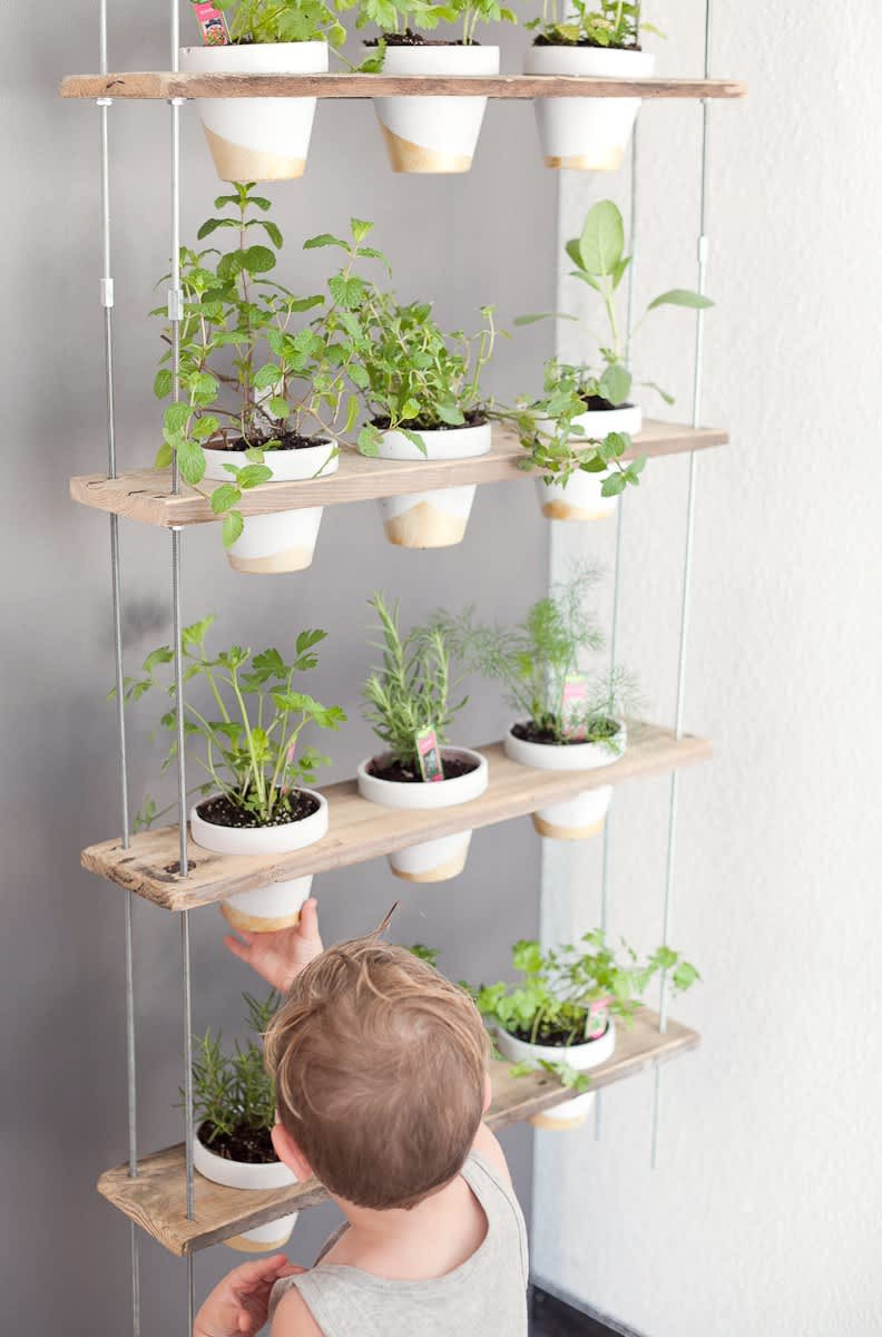 Herb Wall Kitchen
 This DIY Herb Wall Is the Most Stylish Way to Add Green to