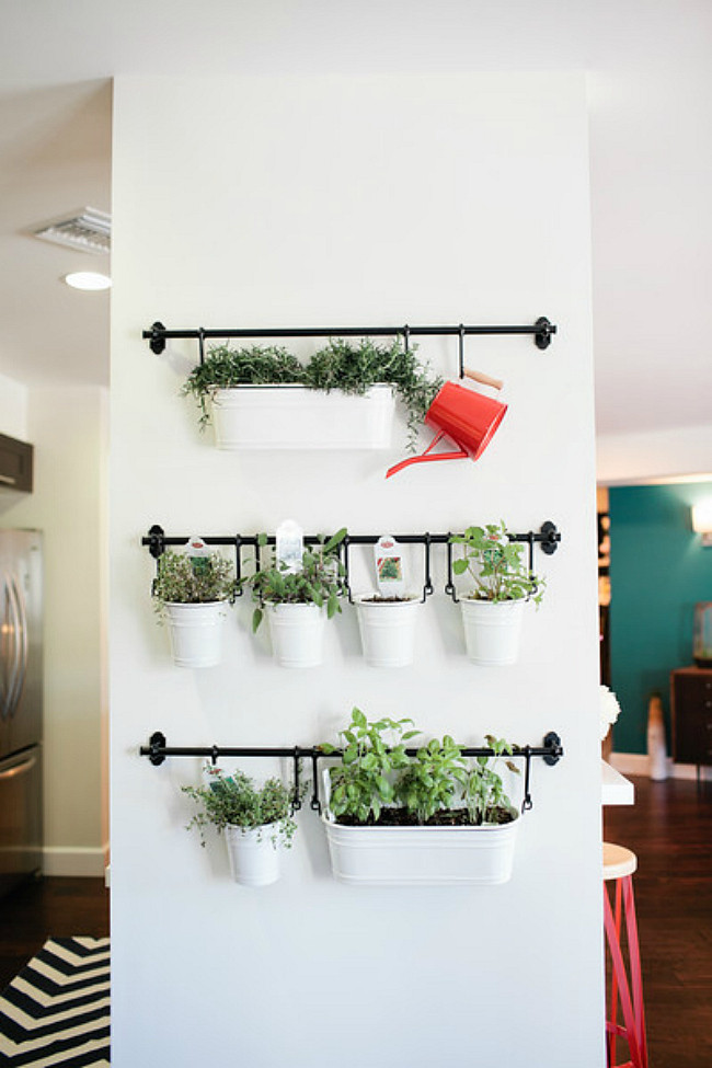 Herb Wall Kitchen
 15 Phenomenal Indoor Herb Gardens