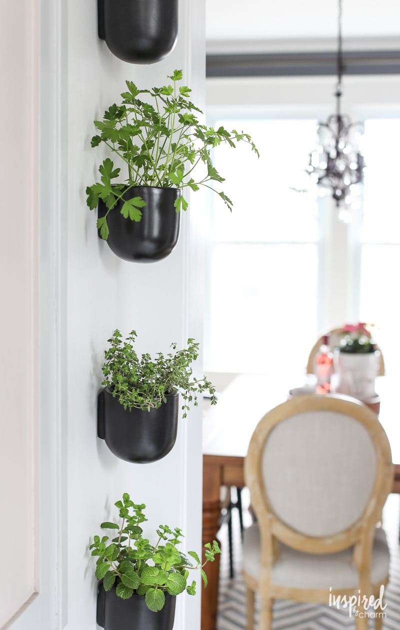 Herb Wall Kitchen
 How to Create a Modern Kitchen Herb Garden