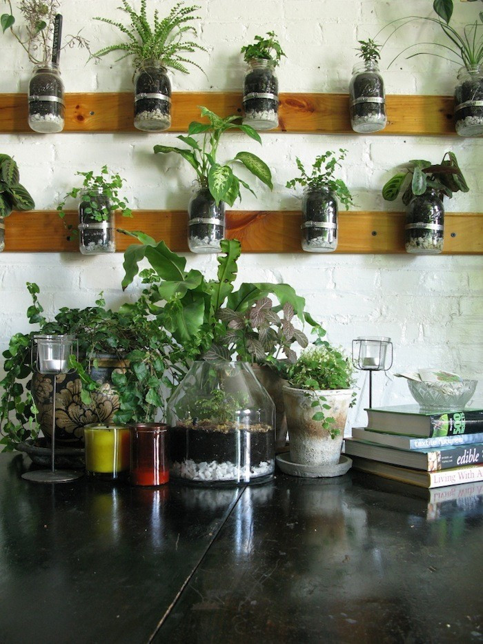 Herb Wall Kitchen
 Indoor Garden and Herb Solutions