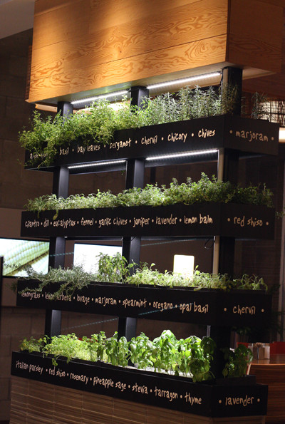 Herb Wall Kitchen
 The Good Life at LYFE Kitchen in Palo Alto