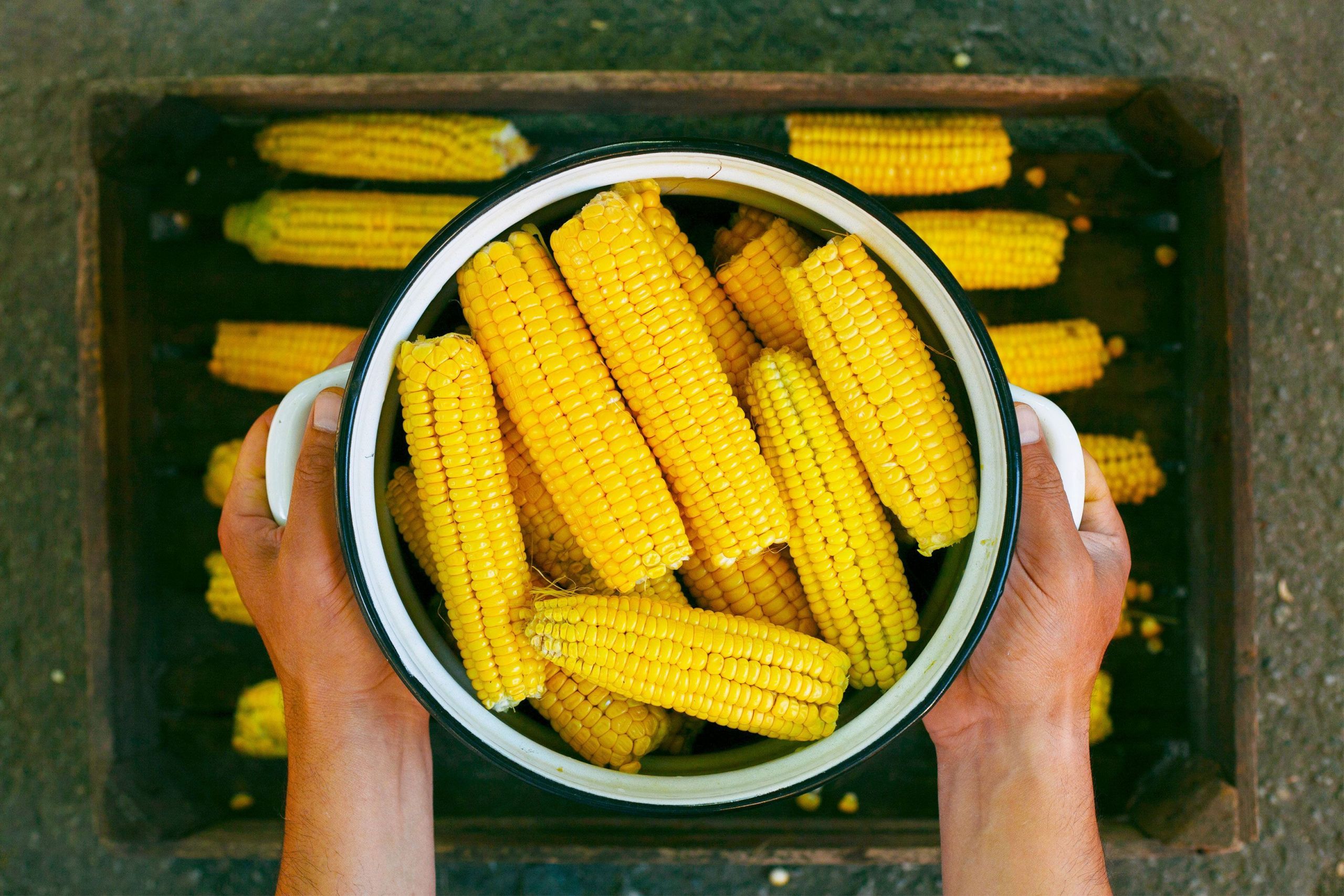 High Fiber Side Dishes
 Our corn harvest is in full swing Whether in a taco