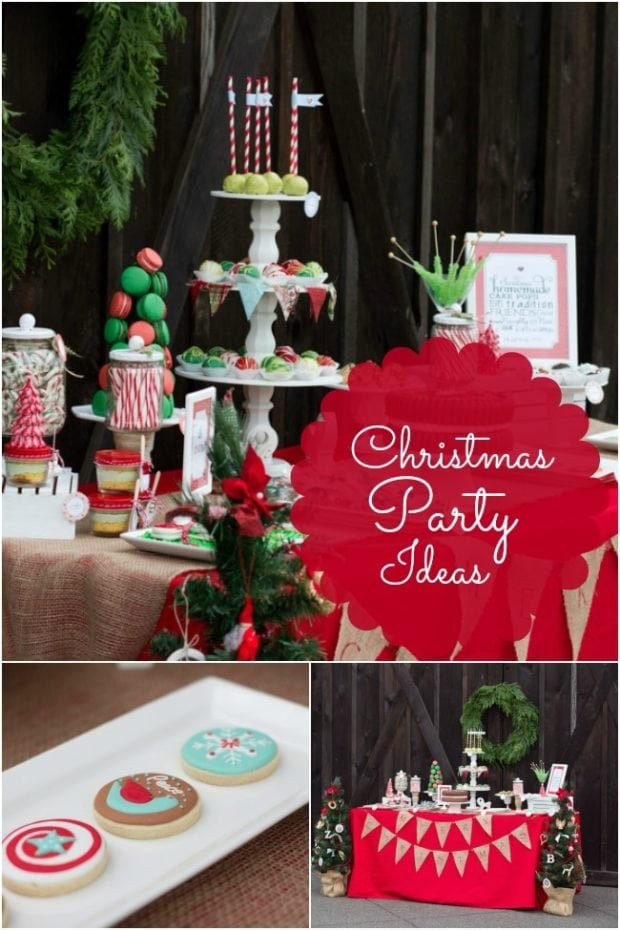 Holiday Birthday Party Ideas
 Kids Christmas Birthday Party Ideas