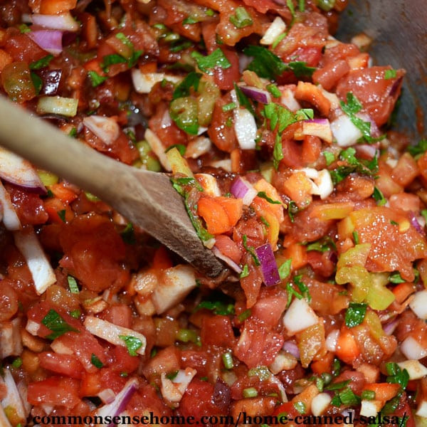 Home Canned Salsa Recipe
 Home Canned Salsa Recipe Plus 10 Tips for Safe Salsa Canning