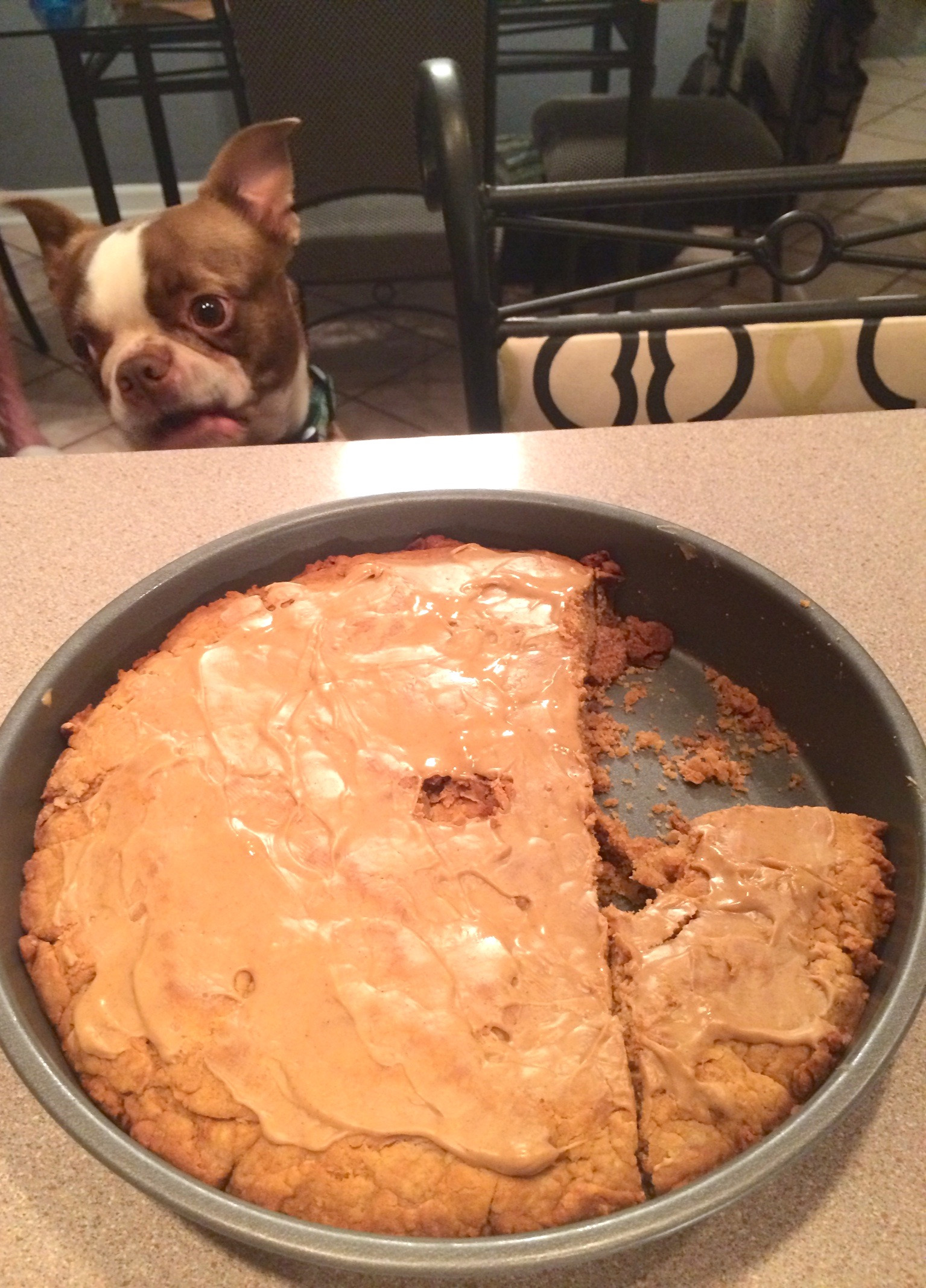 Homemade Dog Birthday Cake
 Maniac Mutt Birthday Homemade Birthday Cake for Dogs