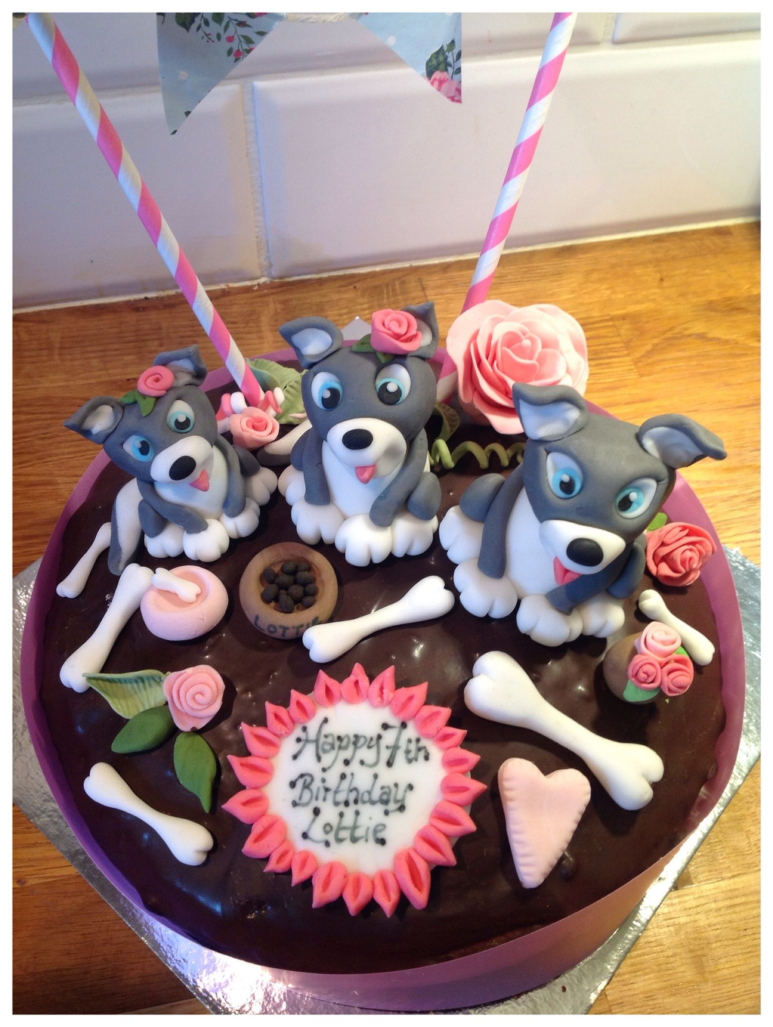 Homemade Dog Birthday Cake
 Homemade husky cake icing birthday dog sugar craft