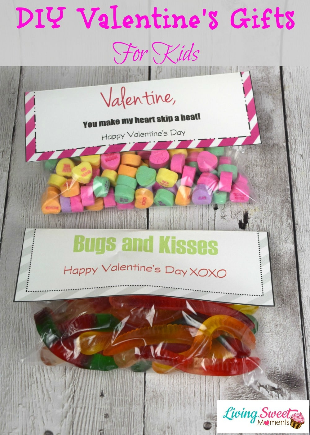 Homemade Valentine Gifts For Kids
 DIY Valentine s Gift For Kids