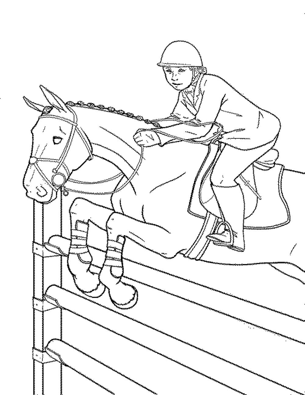 Horse Coloring Pages For Kids
 Fun Horse Coloring Pages for Your Kids Printable
