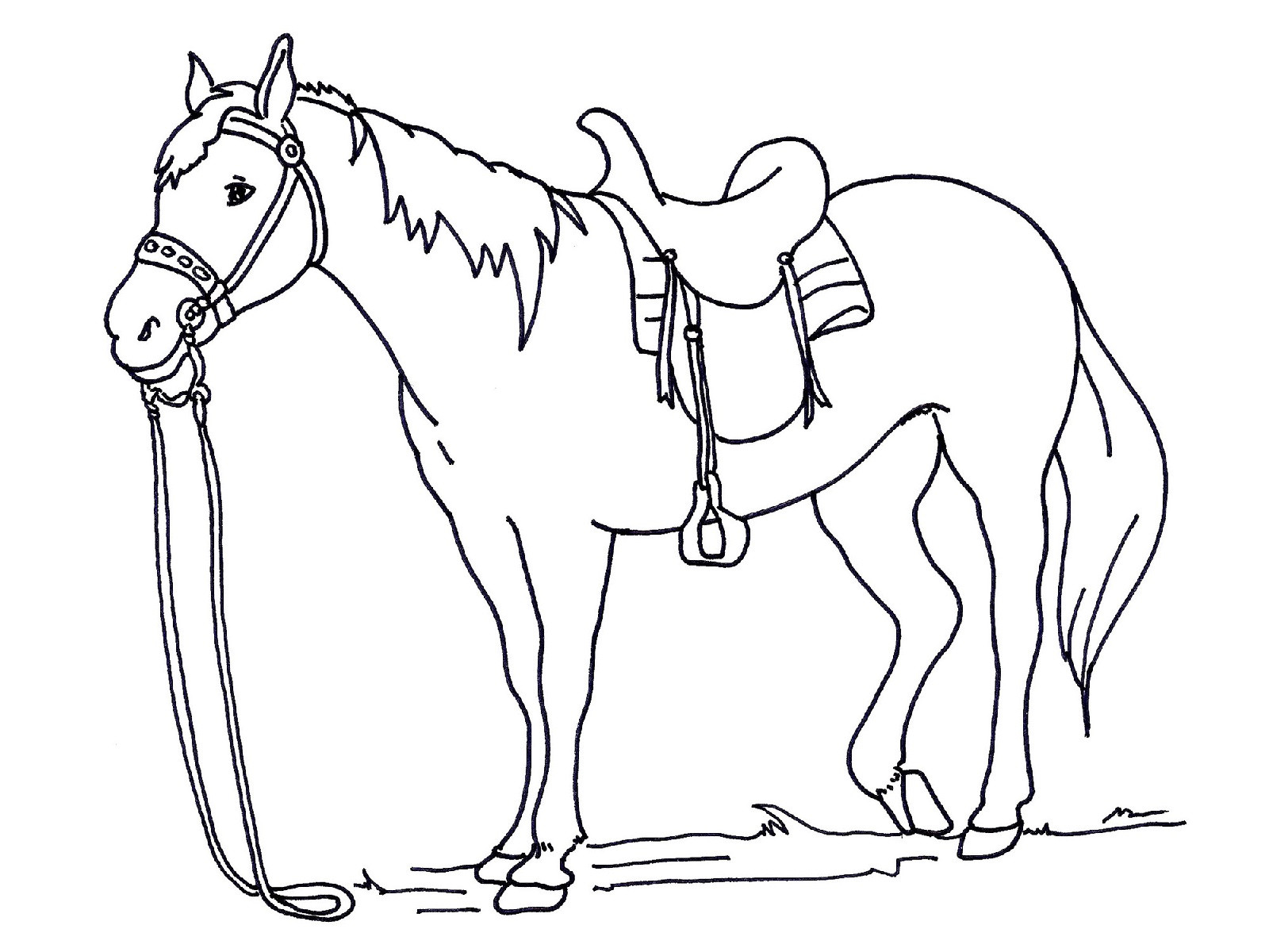 Horse Coloring Pages For Kids
 Horse Riding Coloring Pages Learny Kids