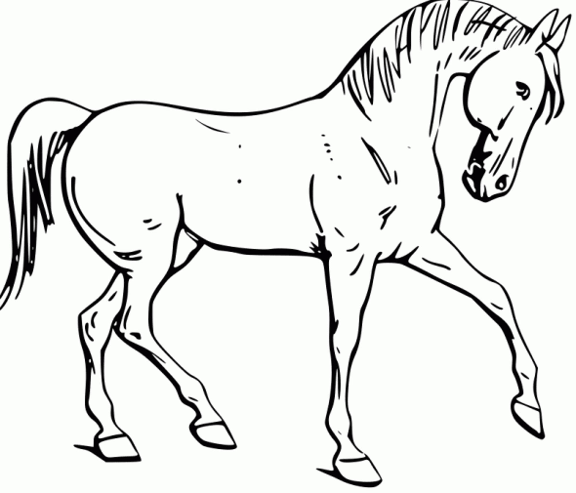 Horse Coloring Pages For Kids
 Fun Horse Coloring Pages for Your Kids Printable