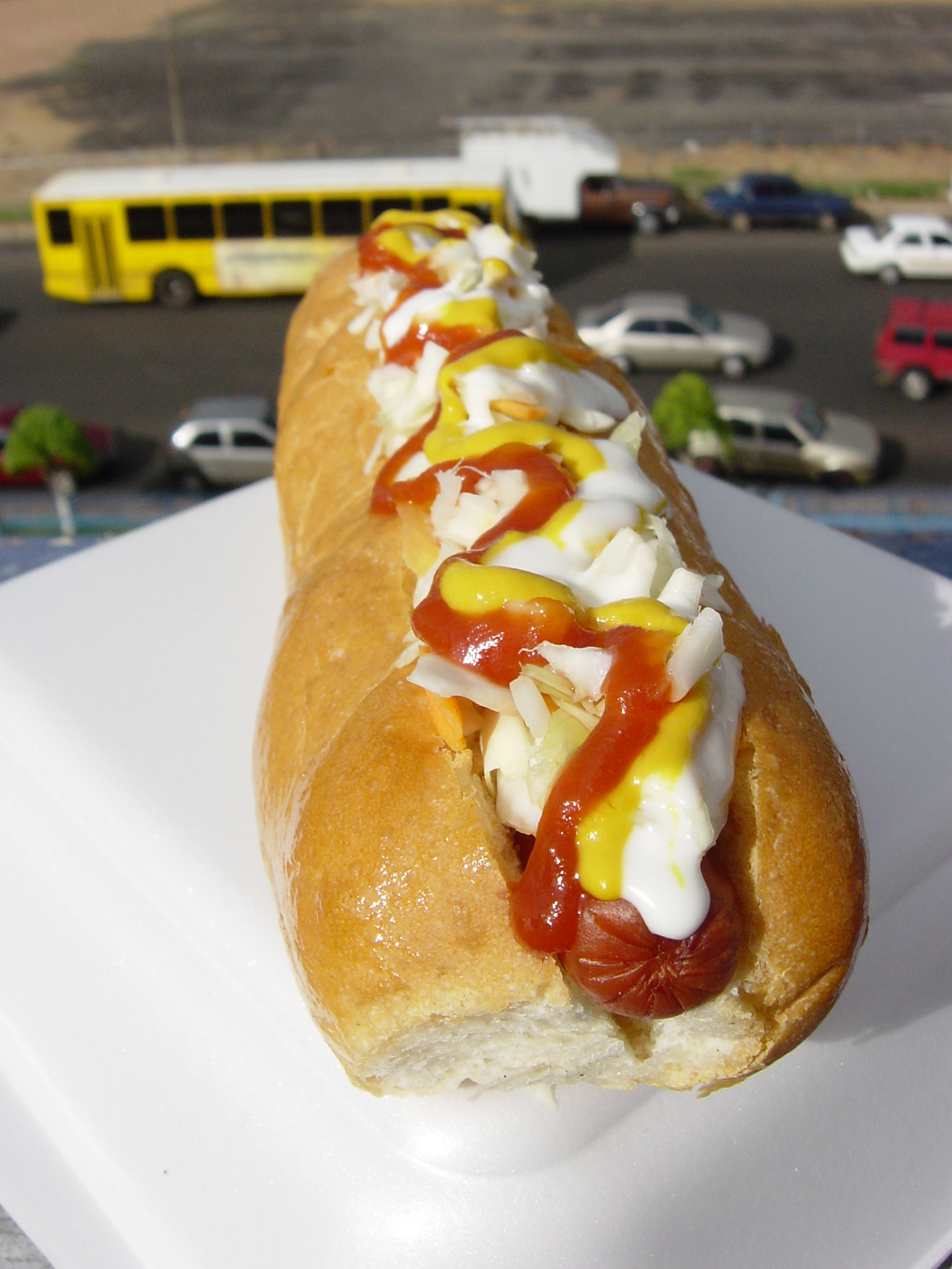 Hot Dogs Gourmet
 Hot dogs gourmet