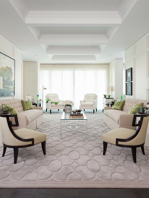 Houzz Rugs Living Room
 Area Rug Living Room