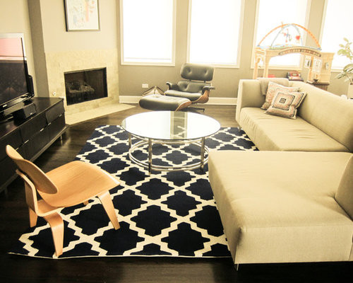 Houzz Rugs Living Room
 Area Rug Living Room