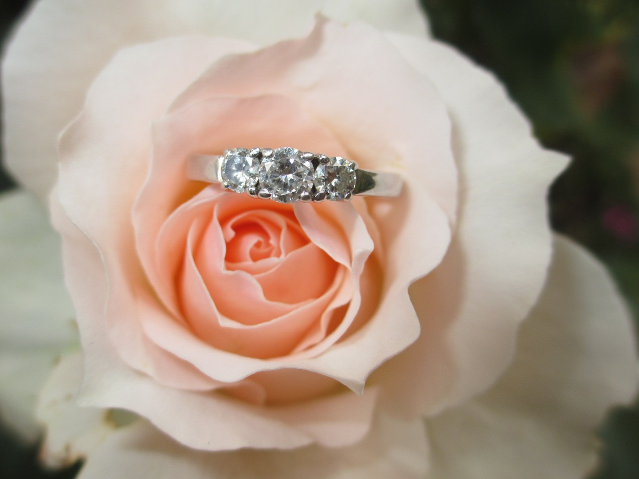 How Much Should I Spend On A Wedding Ring
 21 Gorgeous Engagement Rings She will Love Mens Wedding