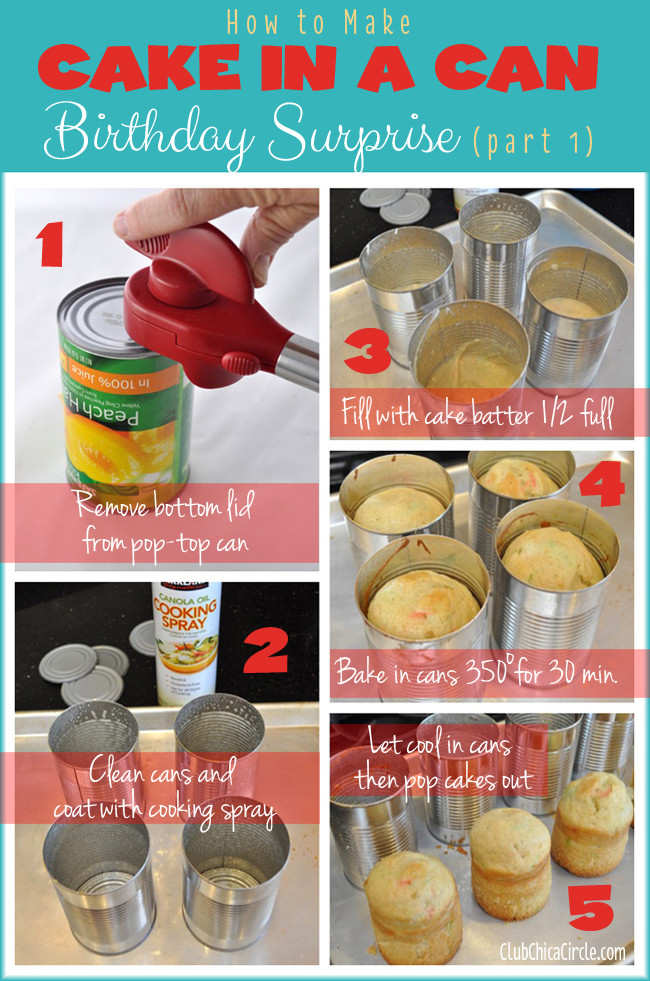 How To Make Birthday Cakes
 Birthday Cake In A Can Tutorial The 36th AVENUE