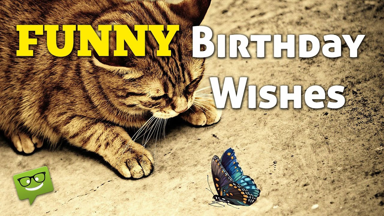 Humor Birthday Wishes
 Funny Birthday Wishes