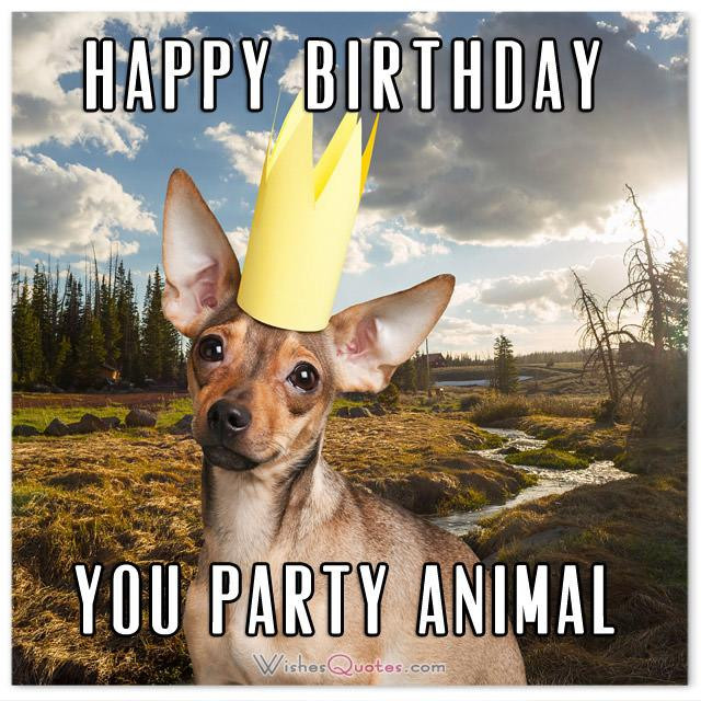 Humor Birthday Wishes
 The Funniest and most Hilarious Birthday Messages and Cards