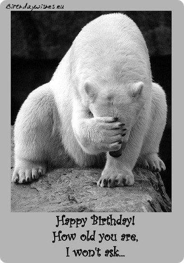 Humor Birthday Wishes
 Top 50 Funny Birthday Wishes For Friend And Humorous