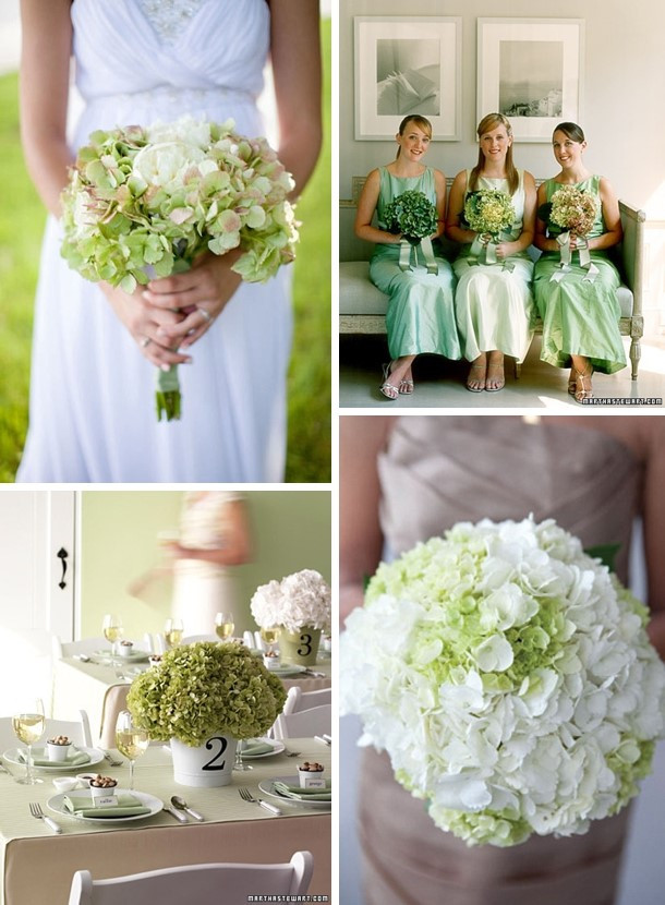 Hydrangea Wedding Flowers
 Different Types of Wedding Flowers