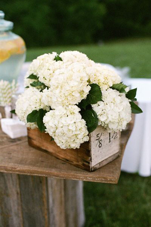 Hydrangea Wedding Flowers
 Wedding Flowers Hydrangeas