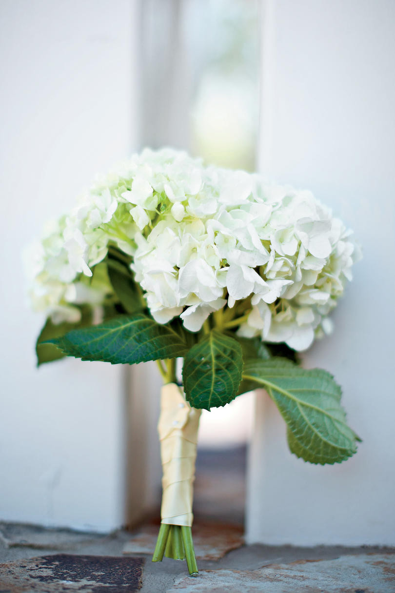 Hydrangea Wedding Flowers
 Wedding Flowers by Season Southern Living