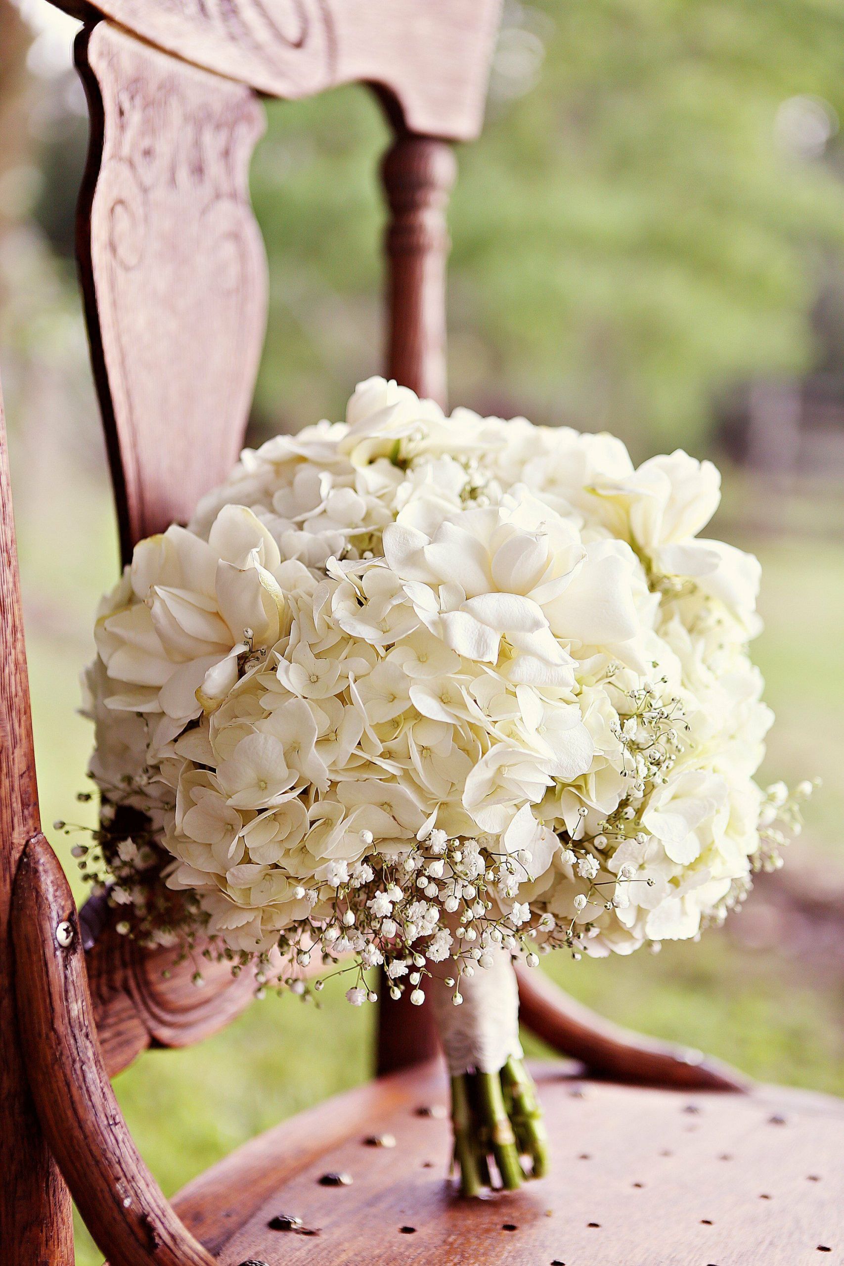 Hydrangea Wedding Flowers
 White Hydrangea Bridal Bouquet