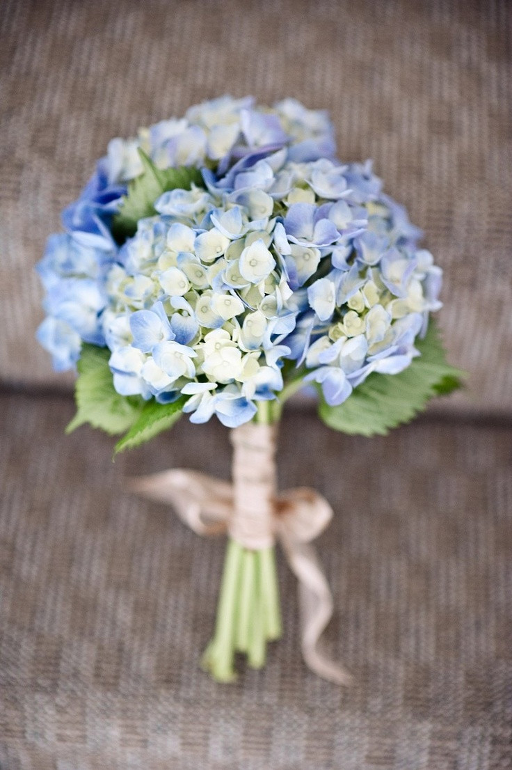 Hydrangea Wedding Flowers
 20 Classic Hydrangea Wedding Bouquets