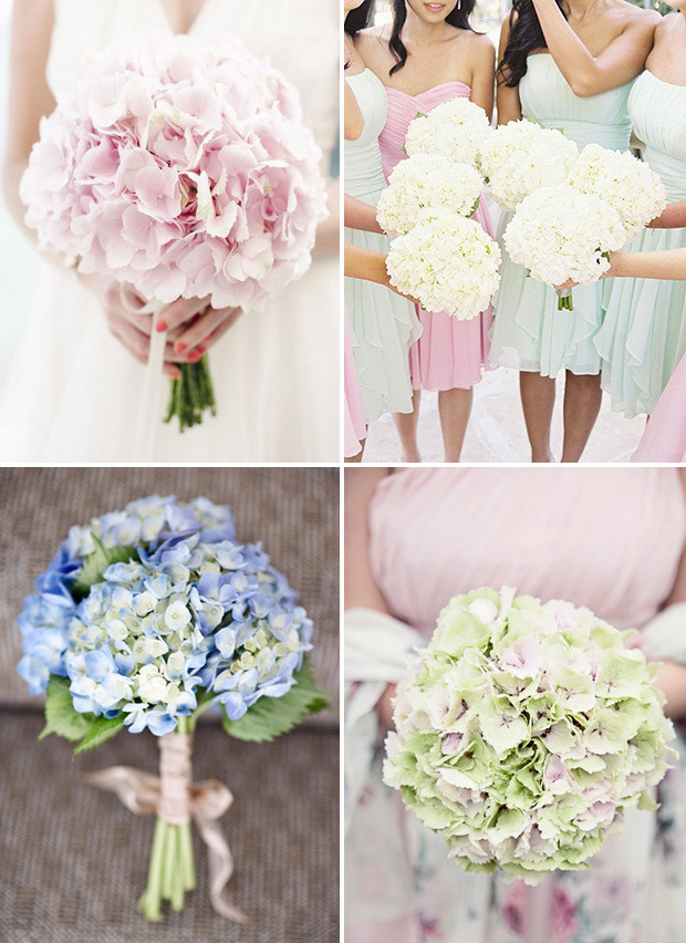 Hydrangea Wedding Flowers
 Beautiful Blooms Hydrangea Wedding Ideas