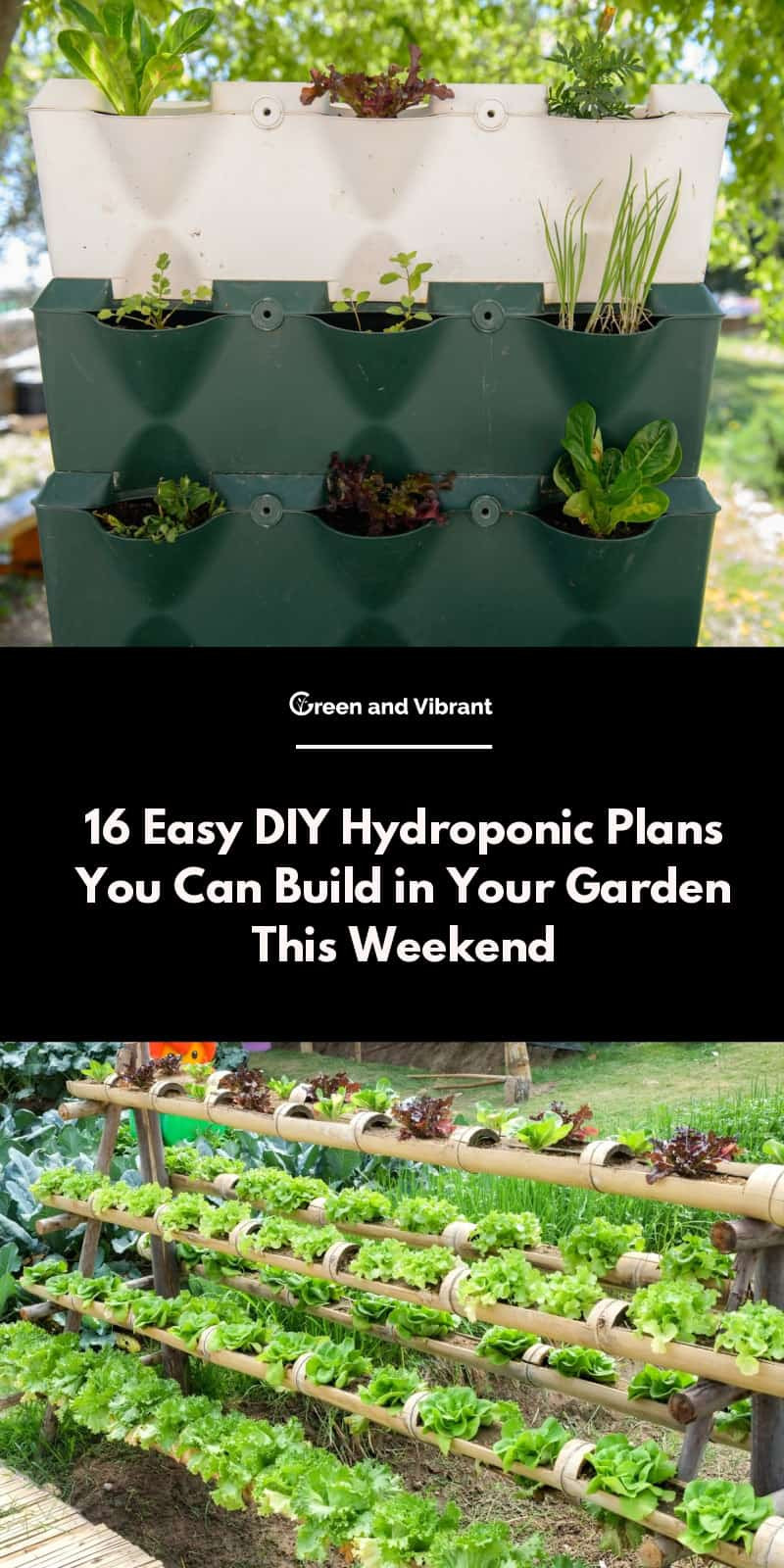 Hydroponics DIY Plans
 16 Easy DIY Hydroponic Plans You Can Build in Your Garden