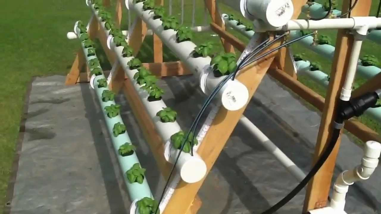 Hydroponics DIY Plans
 Hydroponics Growing System Homemade Pvc For Beginners