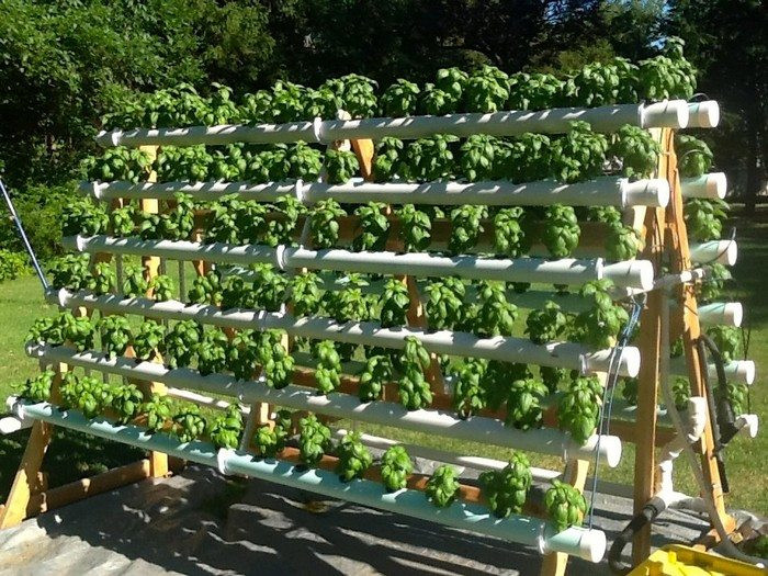 Hydroponics DIY Plans
 Grow more plants with an A Frame hydroponic system