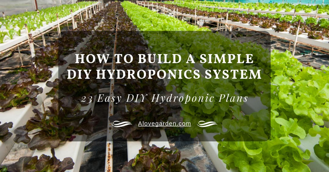Hydroponics DIY Plans
 How To Build A Simple DIY Hydroponics System 23 Easy DIY