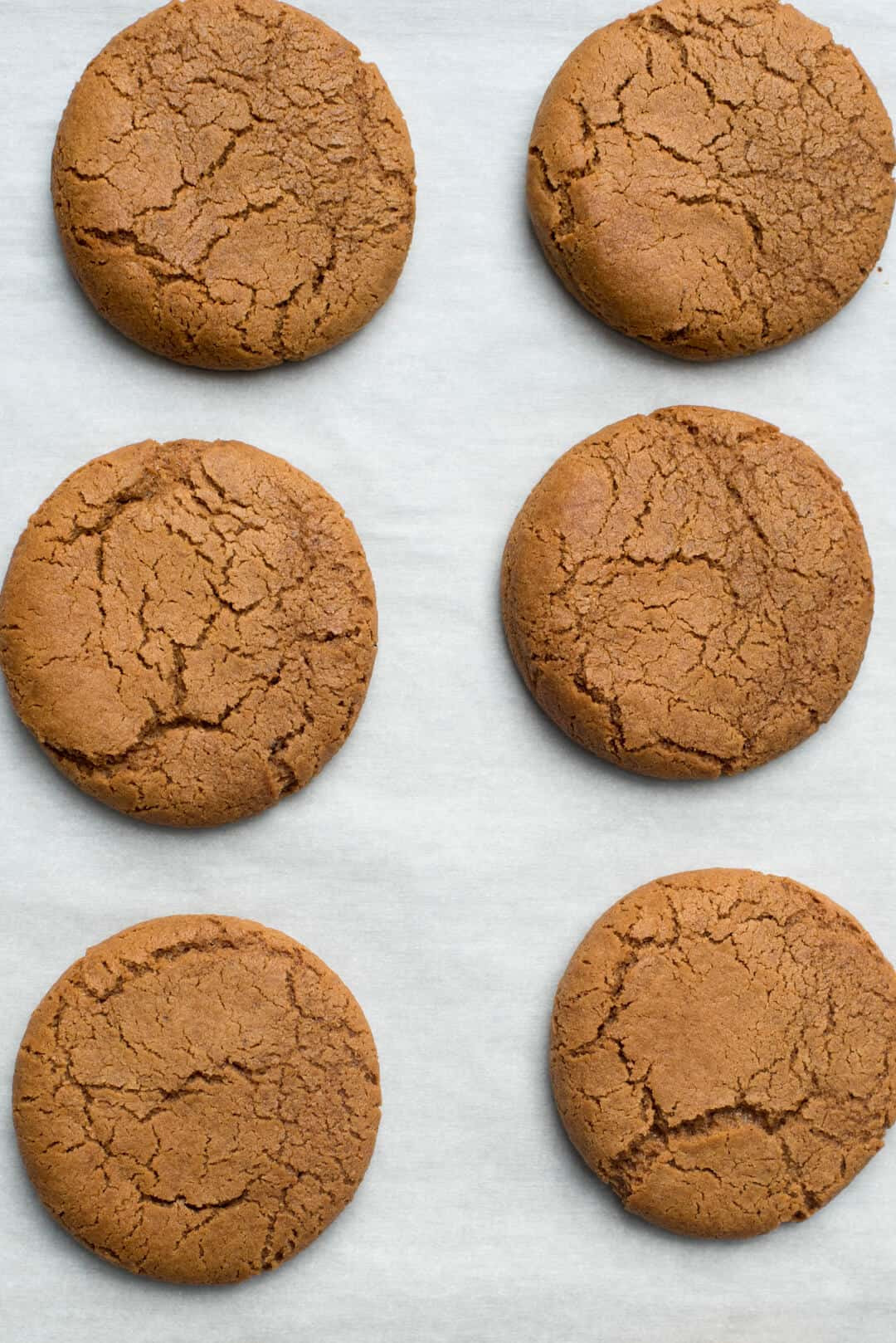 Iced Molasses Cookies
 Chewy Iced Molasses Cookies Valerie s Kitchen