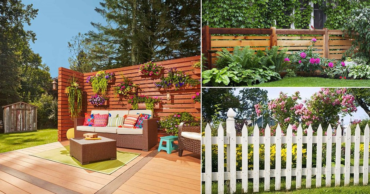 Ideas For Backyard Privacy
 31 Best Privacy Fence Ideas for Backyard