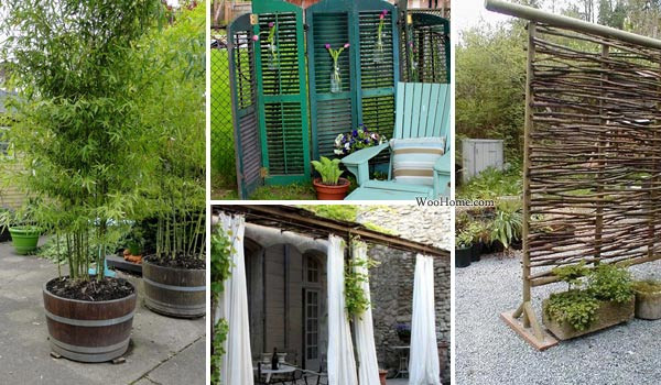 Ideas For Backyard Privacy
 22 Fascinating and Low Bud Ideas for Your Yard and