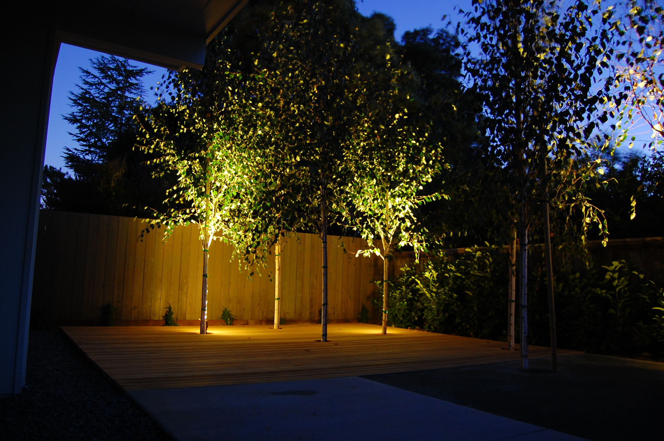 In Ground Landscape Lighting
 Flick a Switch for Evening Excitement The Edison Outdoor