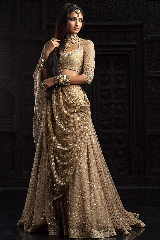 Indian Wedding Gown
 gold indian wedding dress